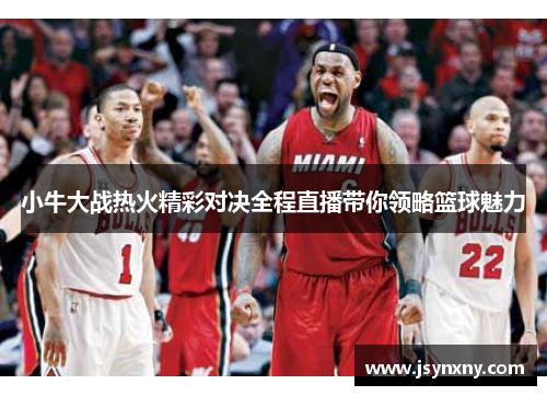 小牛大战热火精彩对决全程直播带你领略篮球魅力