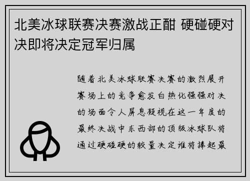 北美冰球联赛决赛激战正酣 硬碰硬对决即将决定冠军归属